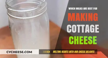 Best Milk Choices for Creamy, Homemade Cottage Cheese Recipes