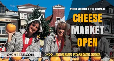 Alkmaar Cheese Market: Discover the Seasonal Opening Months