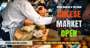 When to Visit Edam's Cheese Market: Seasonal Opening Months