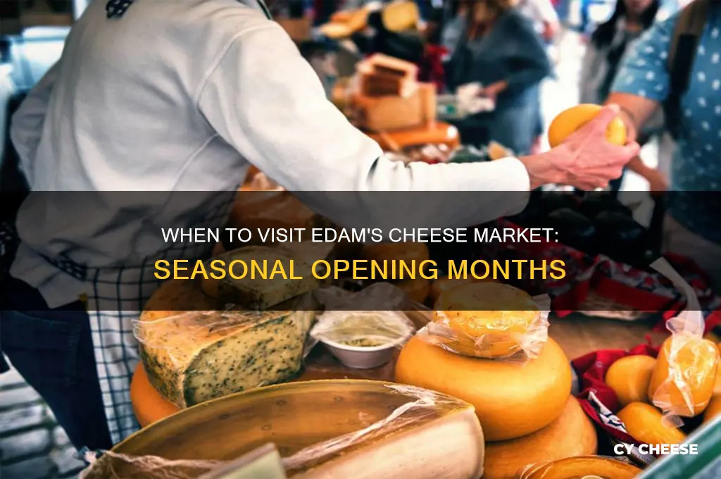 which months is the edam cheese market open