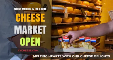 When to Visit Gouda Cheese Market: Open Months Guide