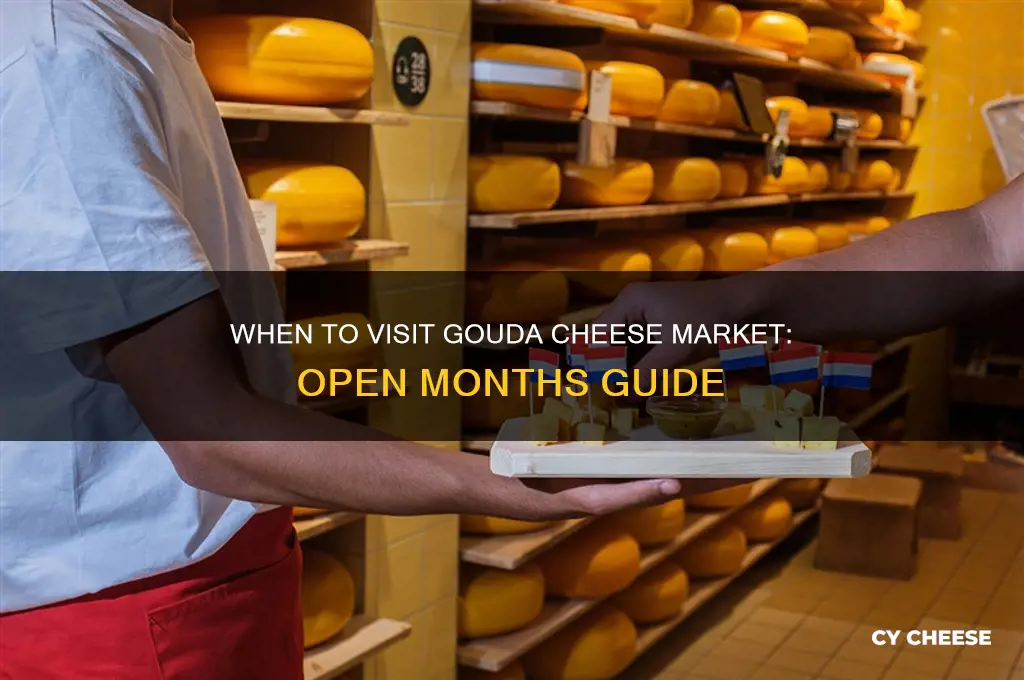 which months is the gouda cheese market open