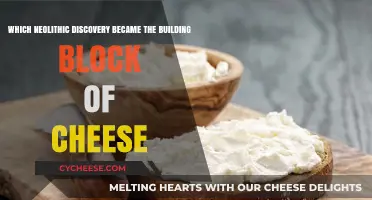 Neolithic Discovery: How Fermented Milk Became the Foundation of Cheese