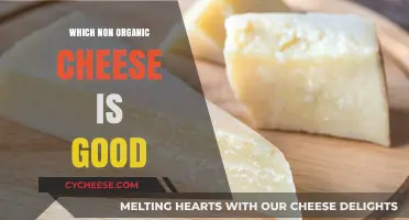 Discover the Best Non-Organic Cheese Options for Flavor and Quality