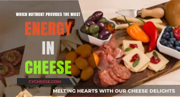 Cheese's Energy Powerhouse: Unveiling the Nutrient with Maximum Caloric Impact