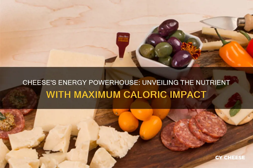 which nutrient provides the most energy in cheese