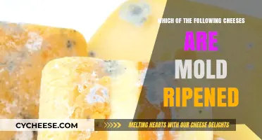 Discover Mold-Ripened Cheeses: A Guide to Their Unique Flavors