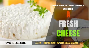Discover Which Cheeses Are Fresh: A Guide to Fresh Cheese Varieties