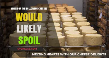 Cheese Spoilage: Which Varieties Are Most Likely to Go Bad?