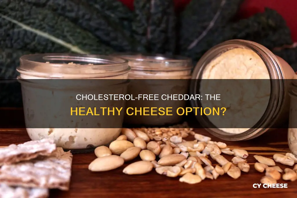 which of the following foods is cholesterol free cheddar cheese