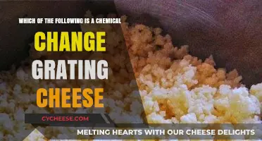 Grating Cheese: Chemical Change or Physical Transformation Explained