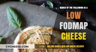 Low FODMAP Cheese Guide: Best Options for Sensitive Stomachs