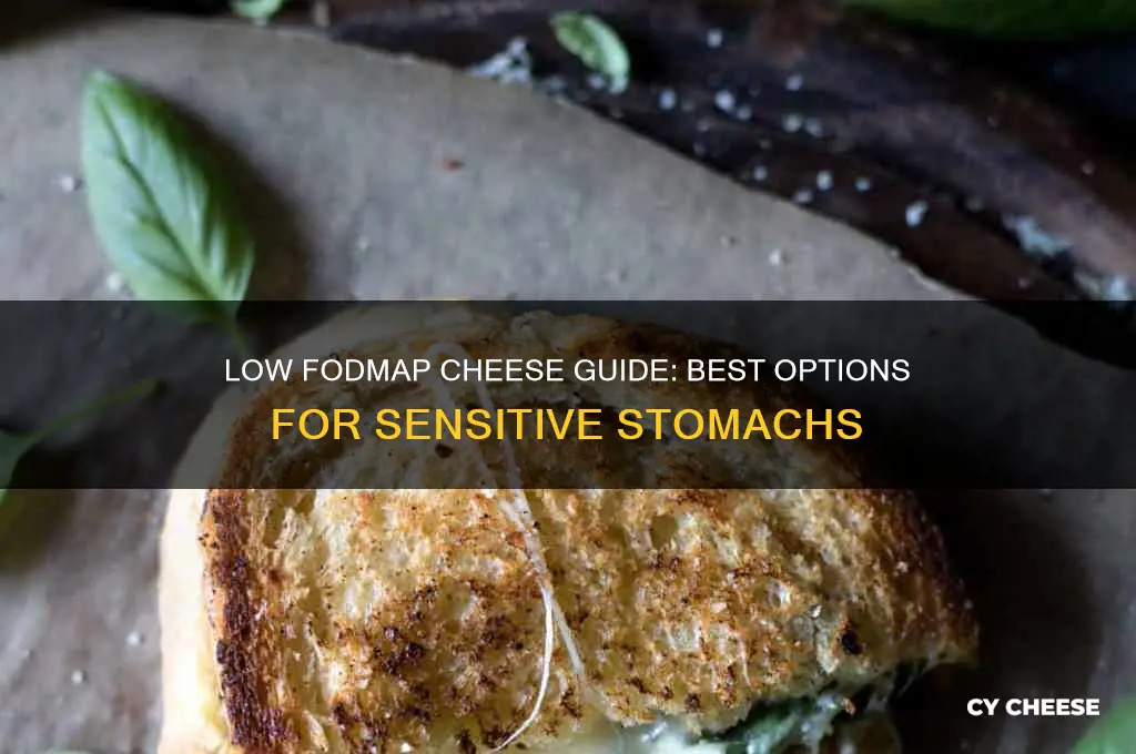 which of the following is a low fodmap cheese