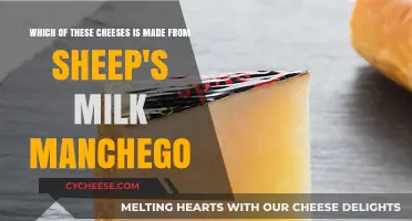 Sheep's Milk Cheeses: Unveiling the Secrets of Manchego