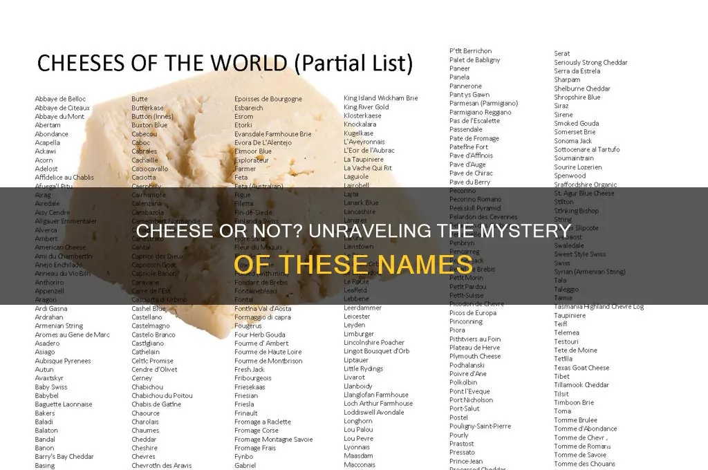which of these is a name of a cheese