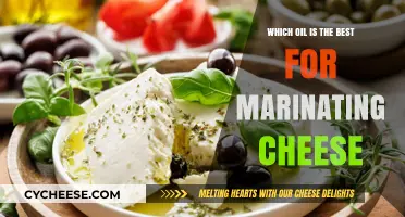 Best Oils for Marinated Cheeses: Elevate Your Taste Buds