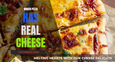 The Ultimate Guide to Real Cheese Pizza: Unveiling the Top Choices