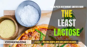 Cheese It Out: Low-Lactose Pizza Options for Dairy Sensitives