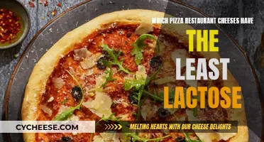 Pizza Cheeses With Less Lactose: A Restaurant Guide