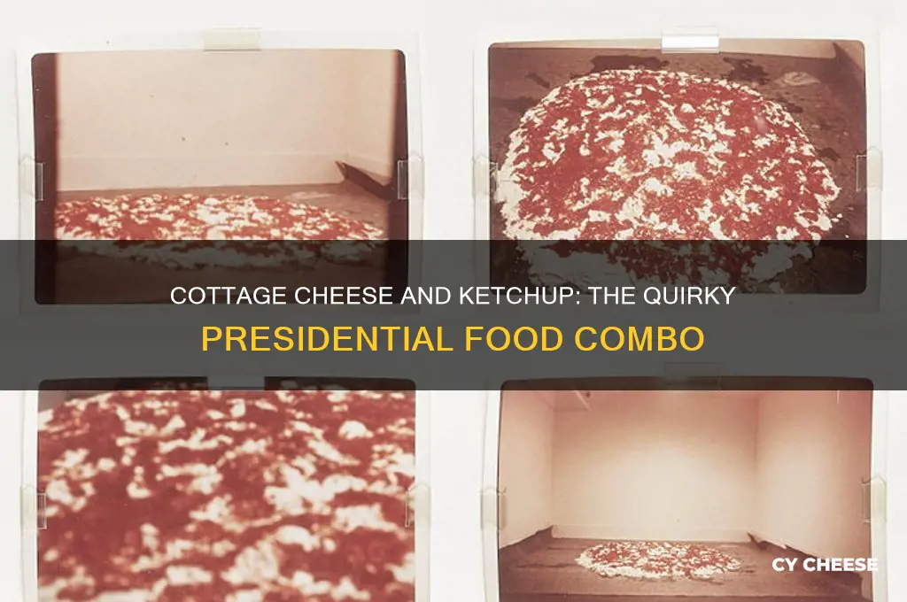 which president liked cottage cheese with ketchup