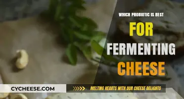 Probiotic Power: Fermenting Cheese the Right Way