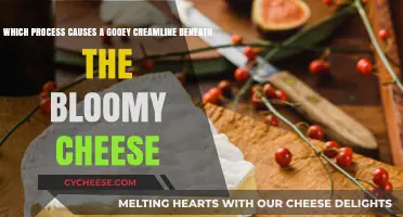 Gooey Creamline Mystery: The Science Behind Bloomy Cheese Formation