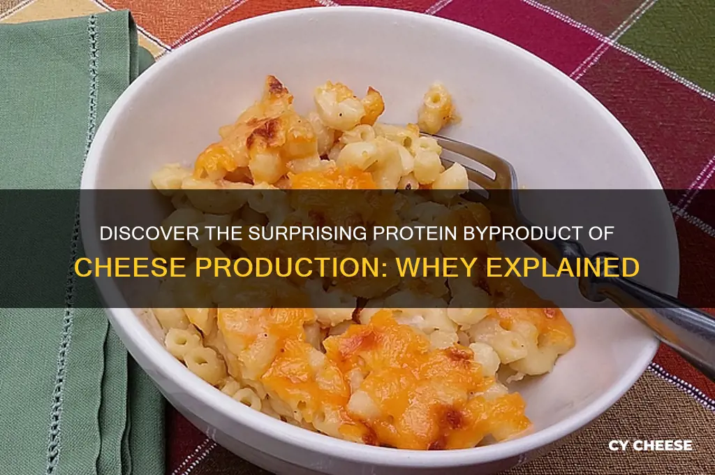 which protein is a byproduct of cheese production