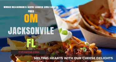 Jacksonville's Best Chili Cheese Fries