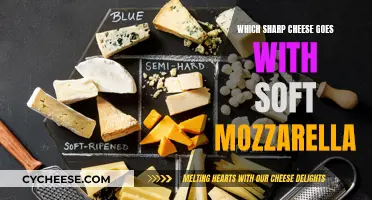 Soft Mozzarella's Sharp Cheese Companion: A Perfect Pairing