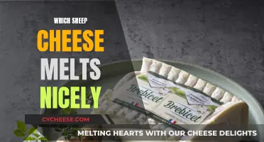 Sheep Cheese: Melting Magic for the Perfect Fondue