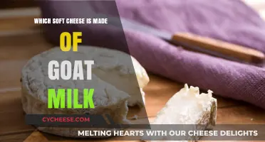 Goat's Milk Soft Cheese: A Cheesy Adventure