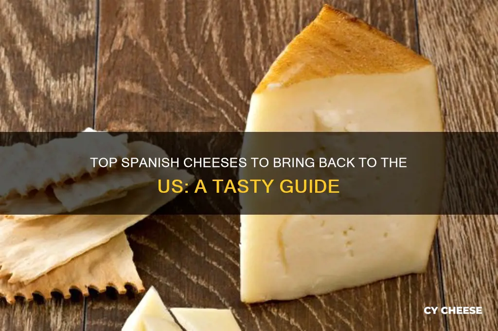 which spanish cheese should i bring back to us