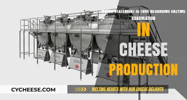 Understanding Enzyme Coagulation's Role in Cheese Production: Fact vs. Fiction