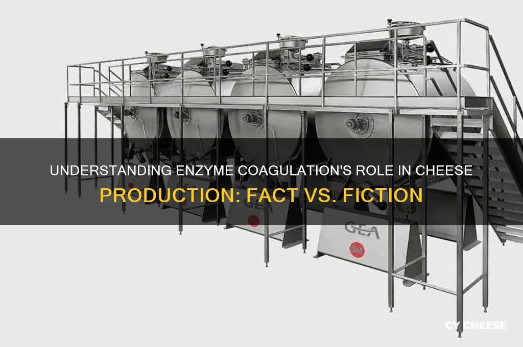 which statement is true regarding enzyme coagulation in cheese production