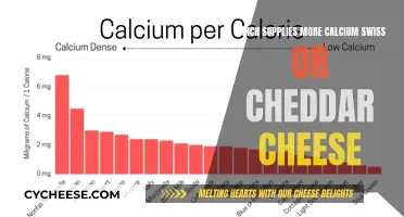 Swiss or Cheddar: Unlocking the Calcium Champion