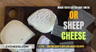 Goat vs. Sheep Cheese: A Tasty Battle of the Cheeses