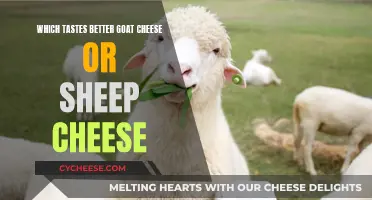 Goat Cheese vs Sheep Cheese: Which Tastes Better?