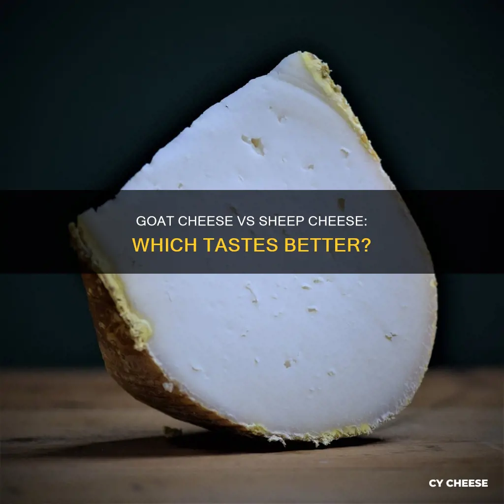 which tastes better goat cheese or sheep cheese