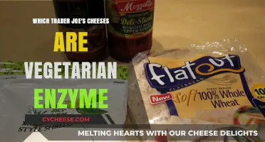 Vegetarian-Friendly Trader Joe's Cheeses: Enzyme-Checked Options for Cheese Lovers