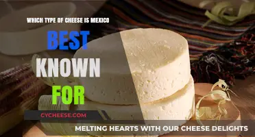 Mexico's Most Popular Cheeses: A Guide