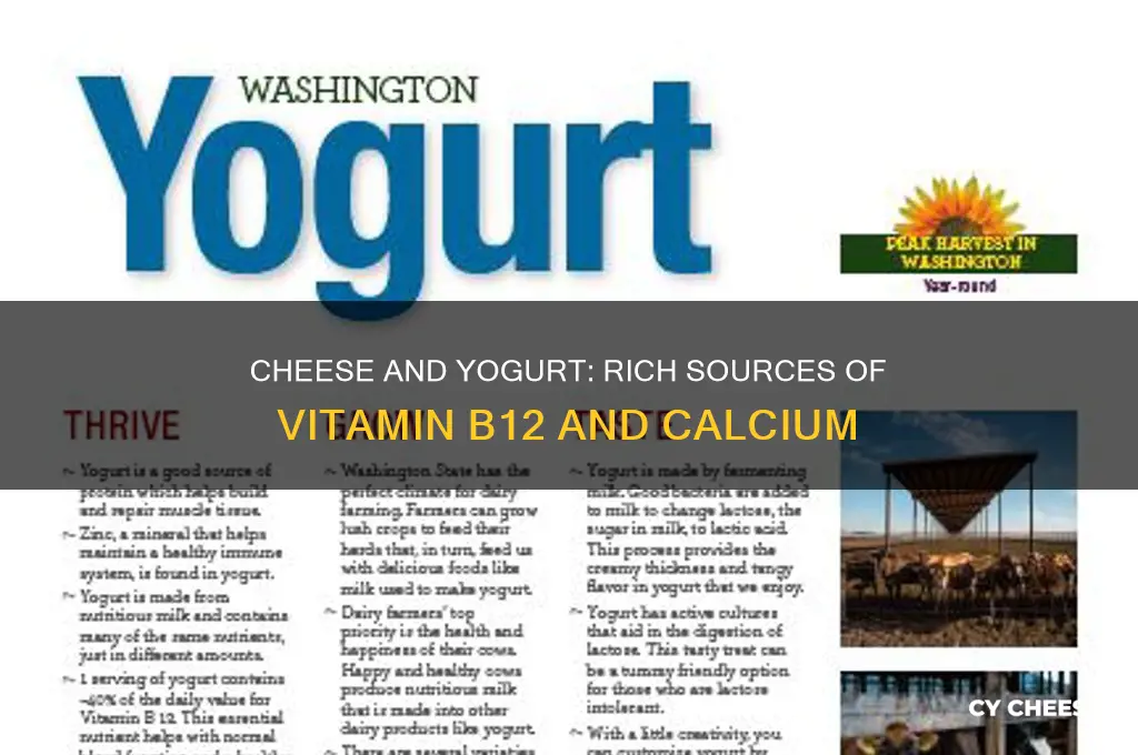 which vitamin is cheese and yogurt goood in