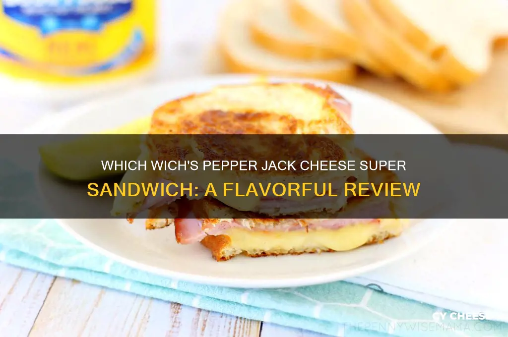 which wich superior sandwiches pepper jack cheese super