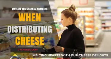 Understanding Cheese Distribution: Key Channel Members and Their Roles