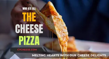 The Mystery of the Disappearing Cheese Pizza