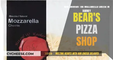 Unraveling Mozzarella Mystery: Who Baked Barney Bear's Pizza?