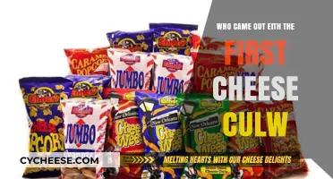 Unveiling the Origins: Who Invented the First Cheese Curler?