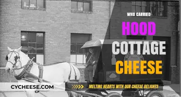 Who Carried Hood Cottage Cheese: Unraveling the Dairy Delivery Mystery