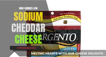 Where to Find Low-Sodium Cheddar Cheese: A Guide to the Best Sources