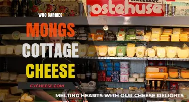 Discover Where to Buy Mongs Cottage Cheese: Top Retailers