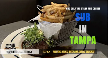 Tampa's Best Steak and Cheese Sub Delivery Options Revealed